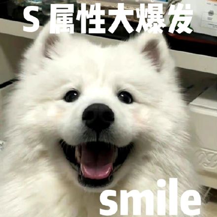 斗图神器！S属性大爆发表情包合集来啦