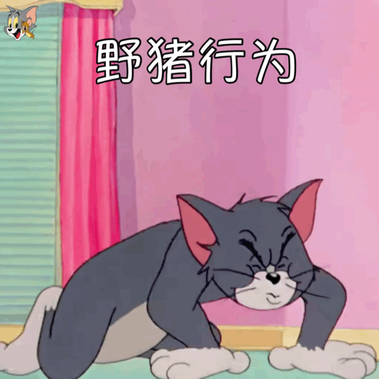 猫和老鼠动图表情包合集 作者@宇宙饼饼oba