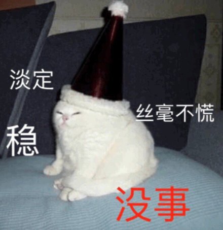 聊天斗图必备！这组猫咪狗子表情包太治愈了