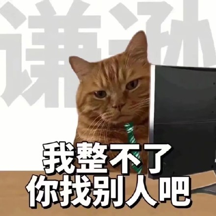 当代打工人的真实状态，都在这套表情包里了