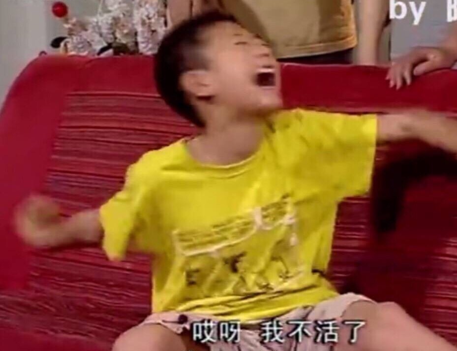 近期爆火的《家有儿女》表情包合集