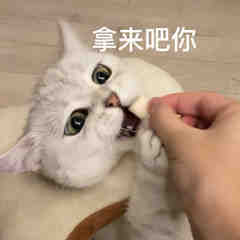 全网爆火“拿来吧你”表情包合集整理