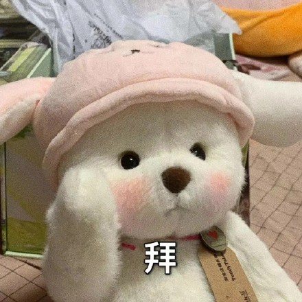 超火的莉娜熊表情包来啦！