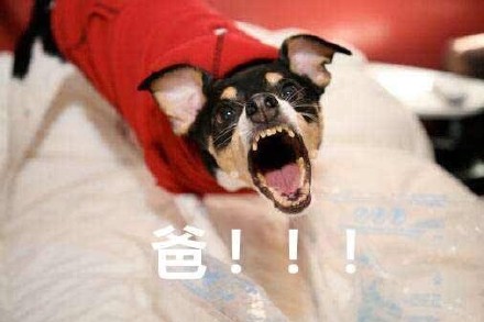 父亲节专属表情包上新啦