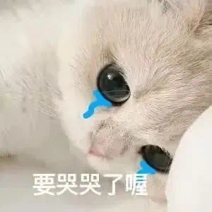 2月6日斗图表情包合集来啦