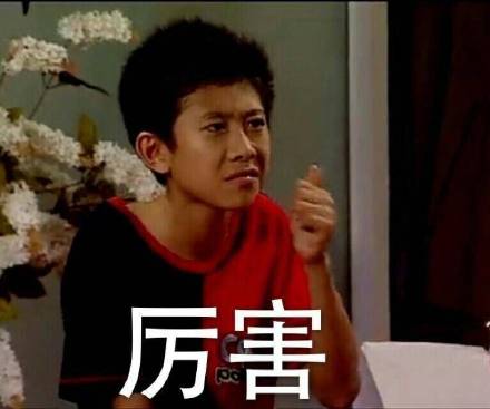 近期爆火的《家有儿女》表情包合集