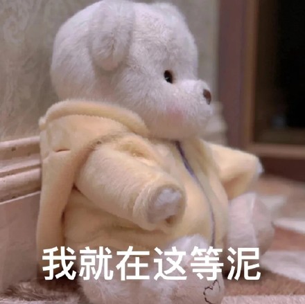 超火的莉娜熊表情包来啦！