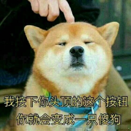 8月4日斗图表情包合集更新