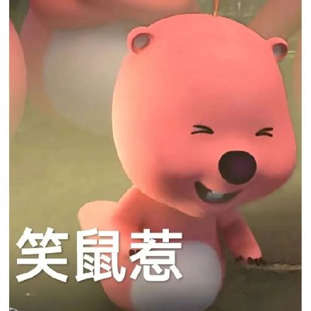 超火小海狸loppy表情包合集来啦