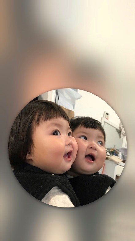 胖熙罗熙手机壁纸合集来了