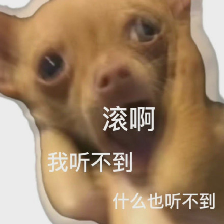 摸鱼必备！摆烂小狗表情包合集