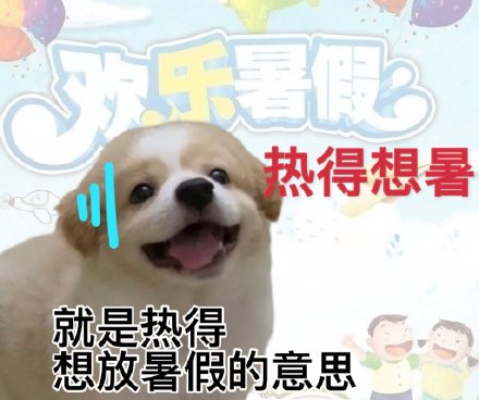 热到发疯？这套高温表情包帮你吐槽