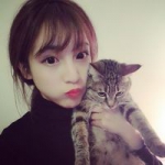 18张清新感抱猫女生头像 治愈又好看的女猫同框头像合集