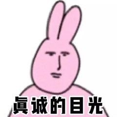 粉粉兔兔打架表情包来啦