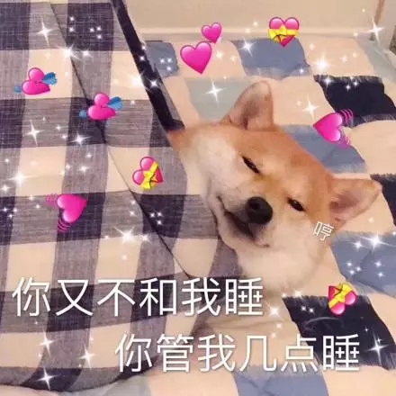 全网超全柴犬表情包合集来啦