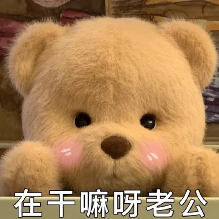 软萌又会整活！毛绒玩具玩偶表情包合集