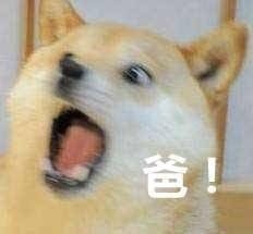 父亲节专属表情包上新啦