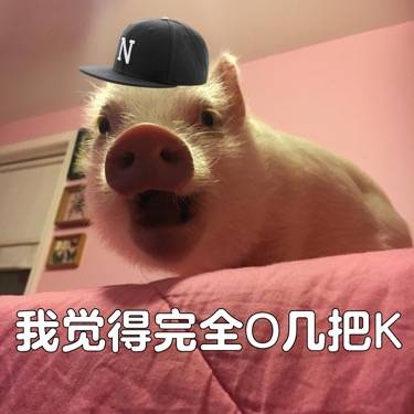 超萌猪猪表情包来啦！