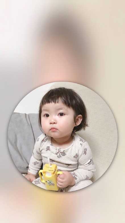 胖熙罗熙手机壁纸合集来了