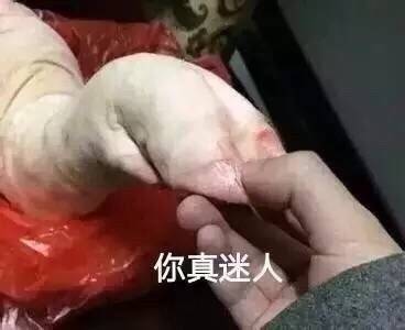 超萌猪猪表情包来啦！