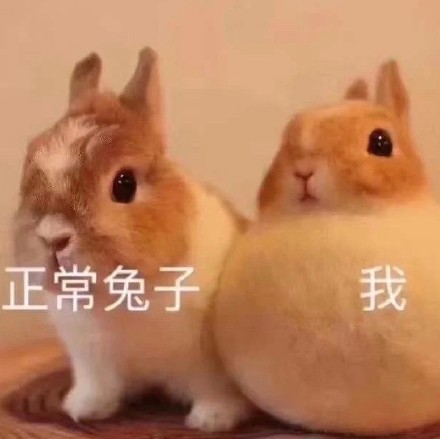 聊天斗图必备！这套兔兔表情包太好用了