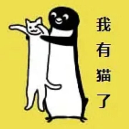 聊天斗图必备！小企鹅表情包合集来啦