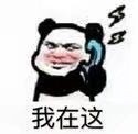 打电话喊人专用！这款熊猫头表情包太接地气了