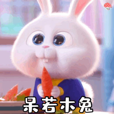 《爱宠大机密》兔子表情包合集来啦