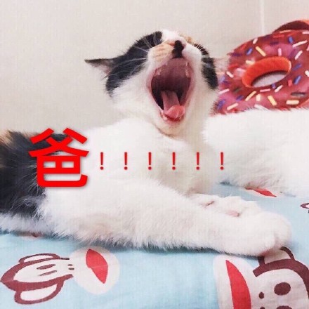 父亲节专属表情包上新啦