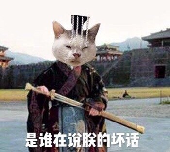 吵架没输过？这套生气猫咪表情包帮你拿捏情绪