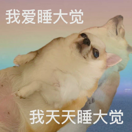 摸鱼必备！摆烂小狗表情包合集