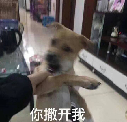 7月13日热门表情包原图合集