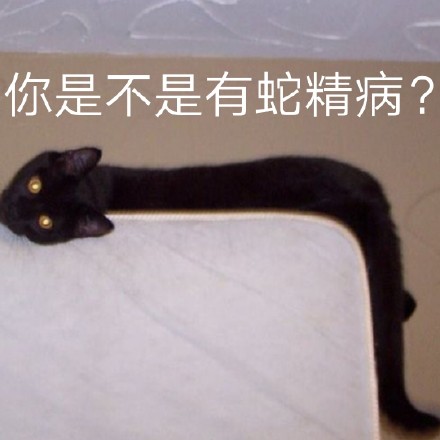 刷爆聊天框的液体猫咪表情包来啦