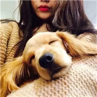 女生带宠物的有爱头像合集 一共18张好看的图