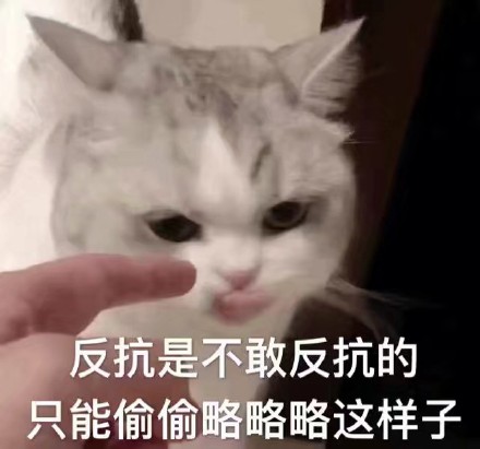 想找软乎乎的斗图素材？这套超萌喵星人表情包别错过