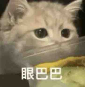 超实用猫猫表情包合集