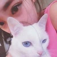 18张清新感抱猫女生头像 治愈又好看的女猫同框头像合集