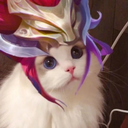 王者荣耀玩家专属！这套猫头头像太适配游戏社交了