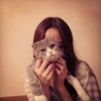 12张治愈感拉满！女生抱小猫的头像合集来了