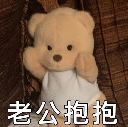 软萌又会整活！毛绒玩具玩偶表情包合集