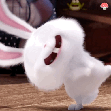 《爱宠大机密》兔子表情包合集来啦