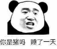 聊天斗图神器！这套熊猫头表情包直接封神