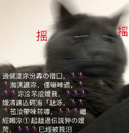 铲屎官看过来！这套喵星人沙雕表情包直接戳中笑点