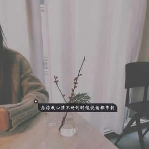 12张高清伤感带字女生头像 网图素材直接用