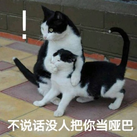 别瞎说，我们俩感情好着呢