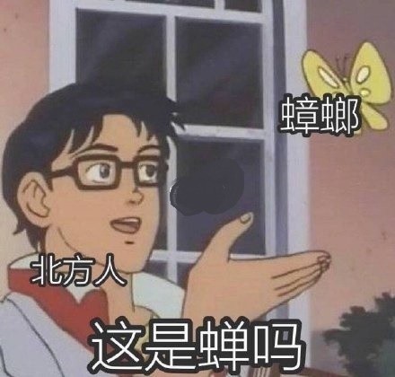 聊天斗图新选择！蟑螂表情包合集上线啦