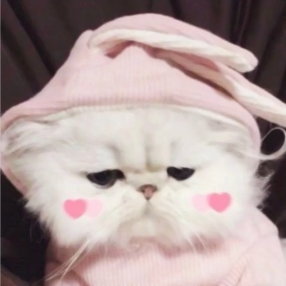 36张可爱女生闺蜜头像合集 高清好看直接用