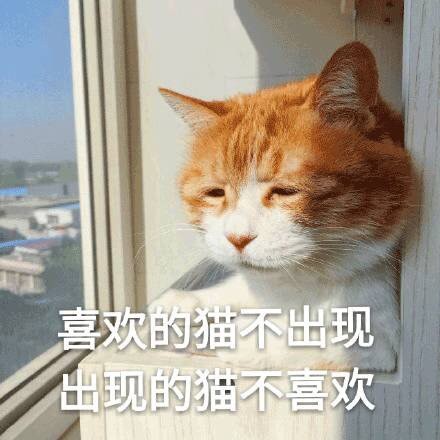 emo感拉满！这套丧系猫咪表情包太戳人了
