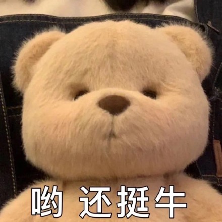 软萌又会整活！毛绒玩具玩偶表情包合集