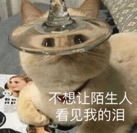 聊天斗图必备！这组猫咪狗子表情包太治愈了